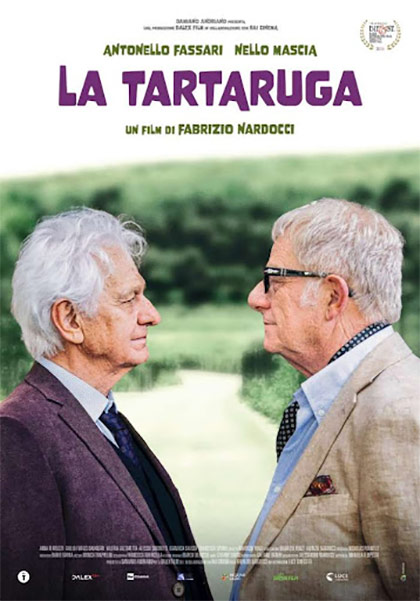 poster la tartaruga