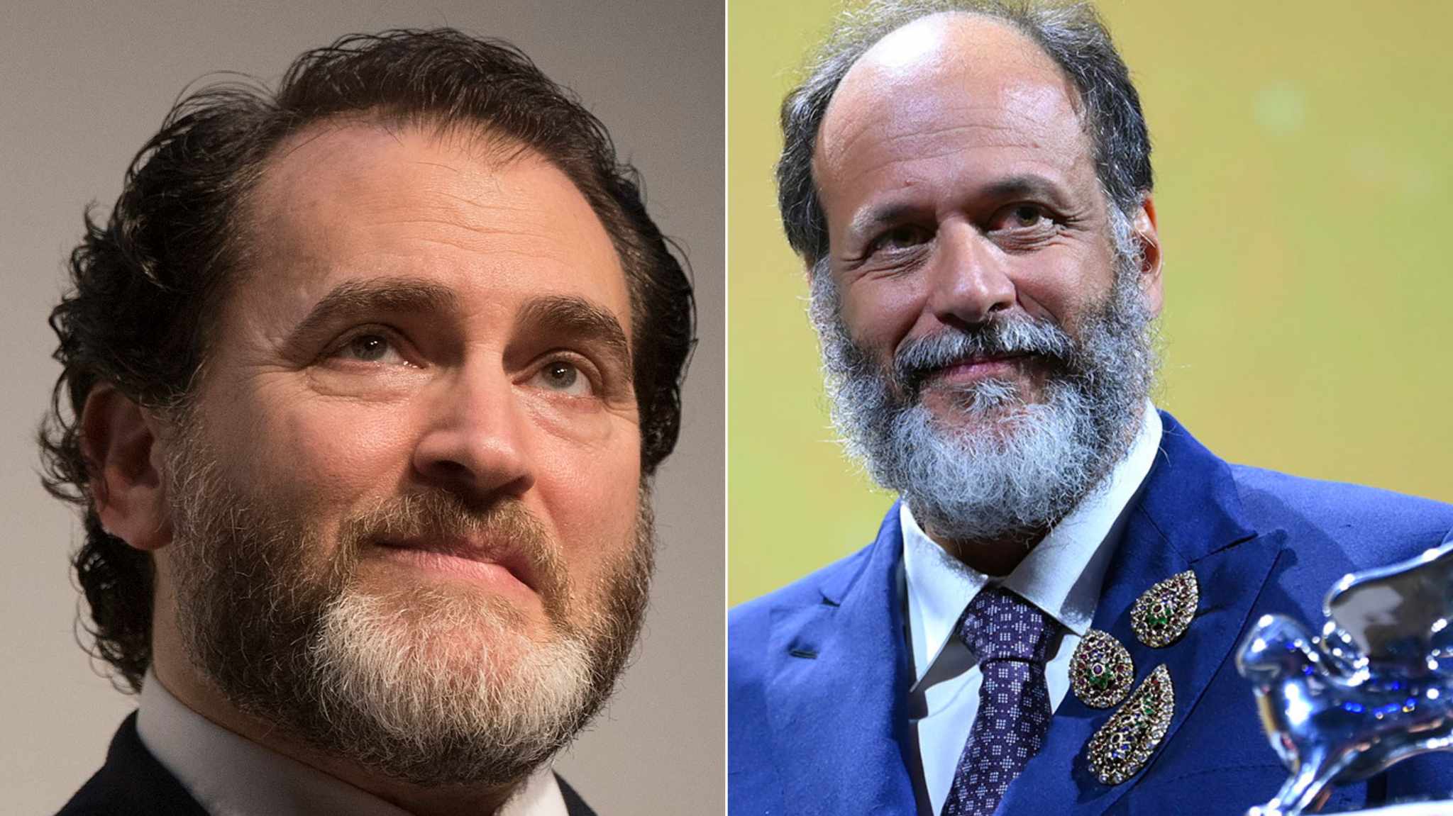 cover michael stuhlbarg e luca guadagnino