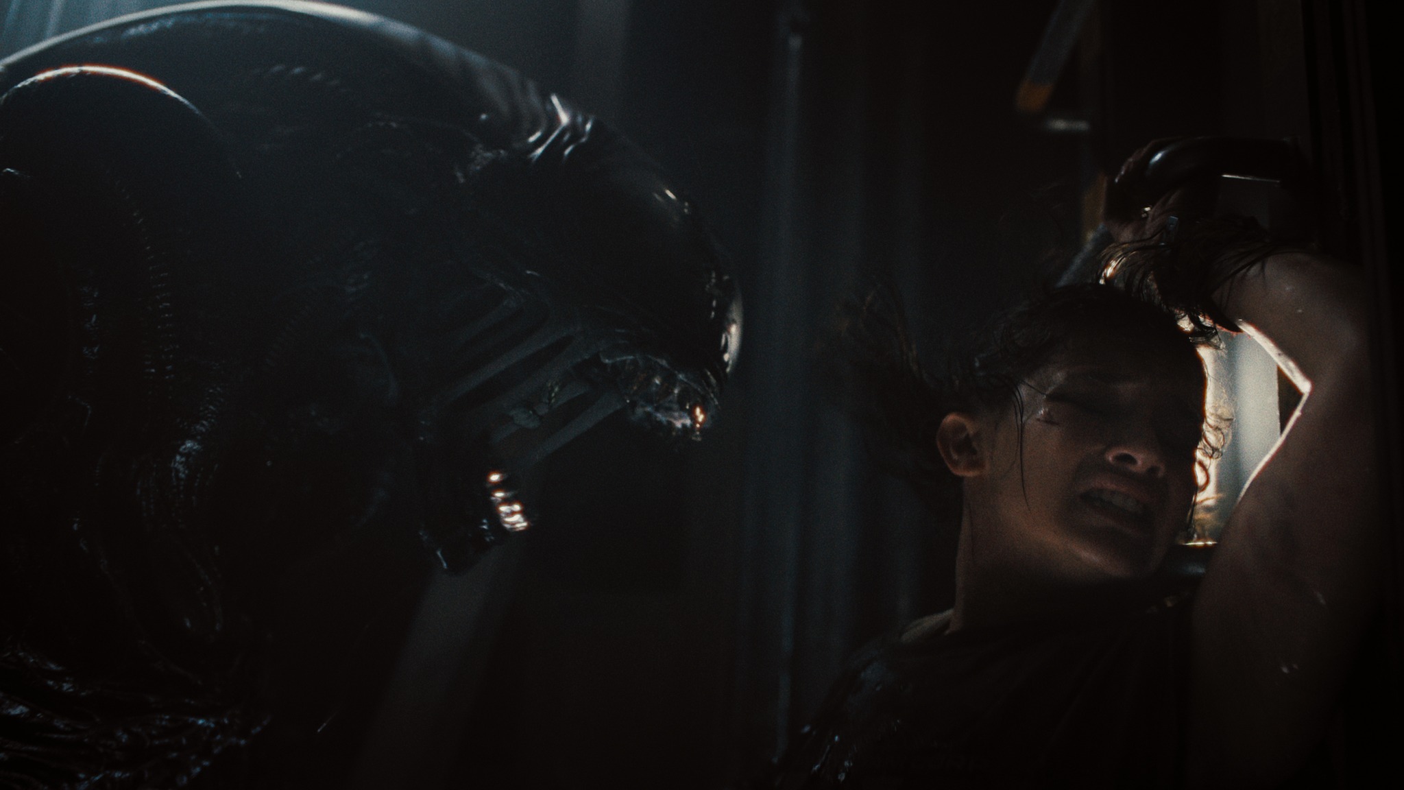 Alien: Romulus: il trailer del nuovo capitolo nei cinema ad agosto