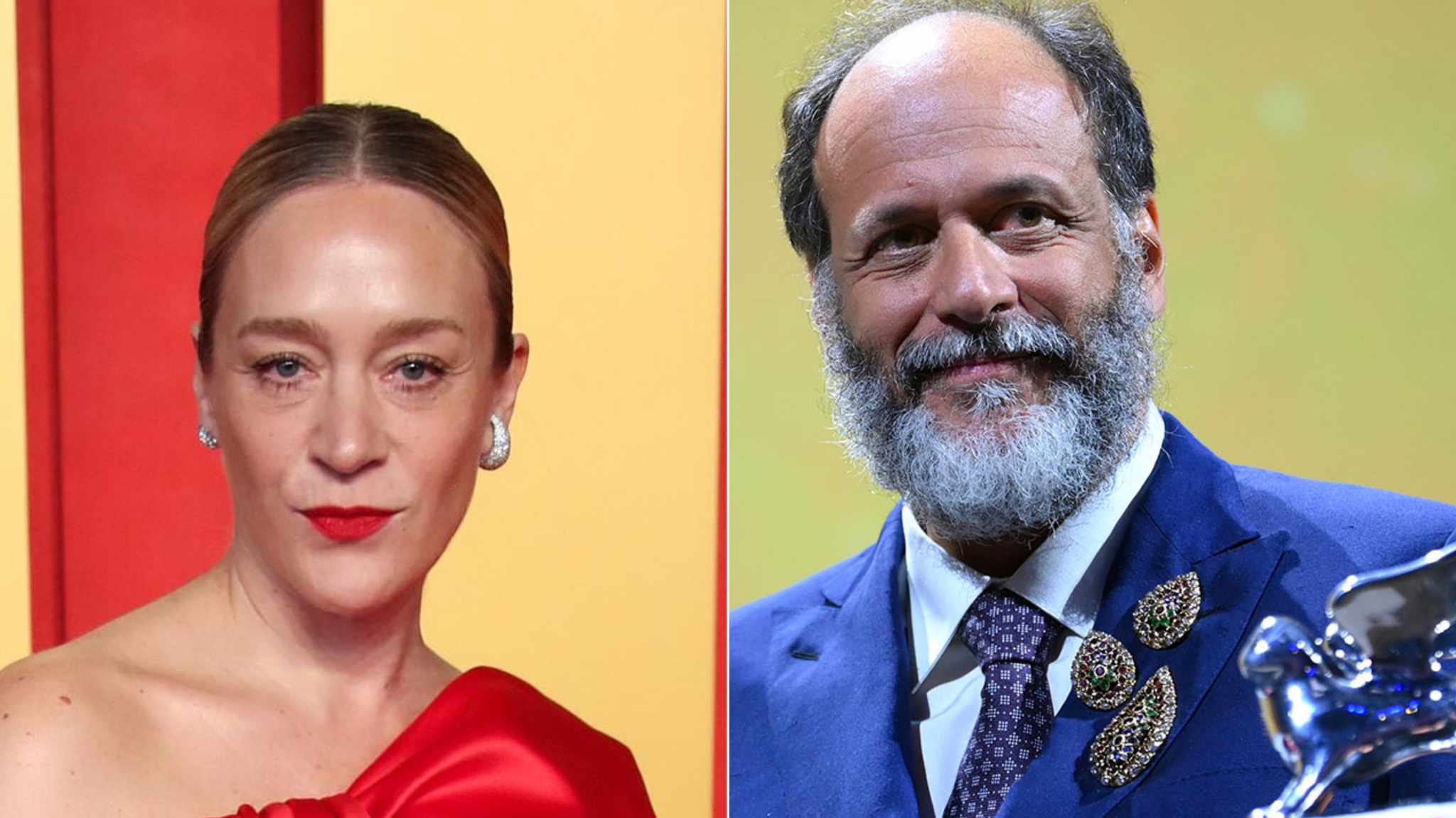 copertina chloe sevigny e luca guadagnino