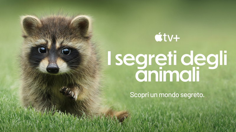 I segreti degli animali, il trailer della nuova docuserie narrata da Hugh Bonneville in arrivo su Apple TV+