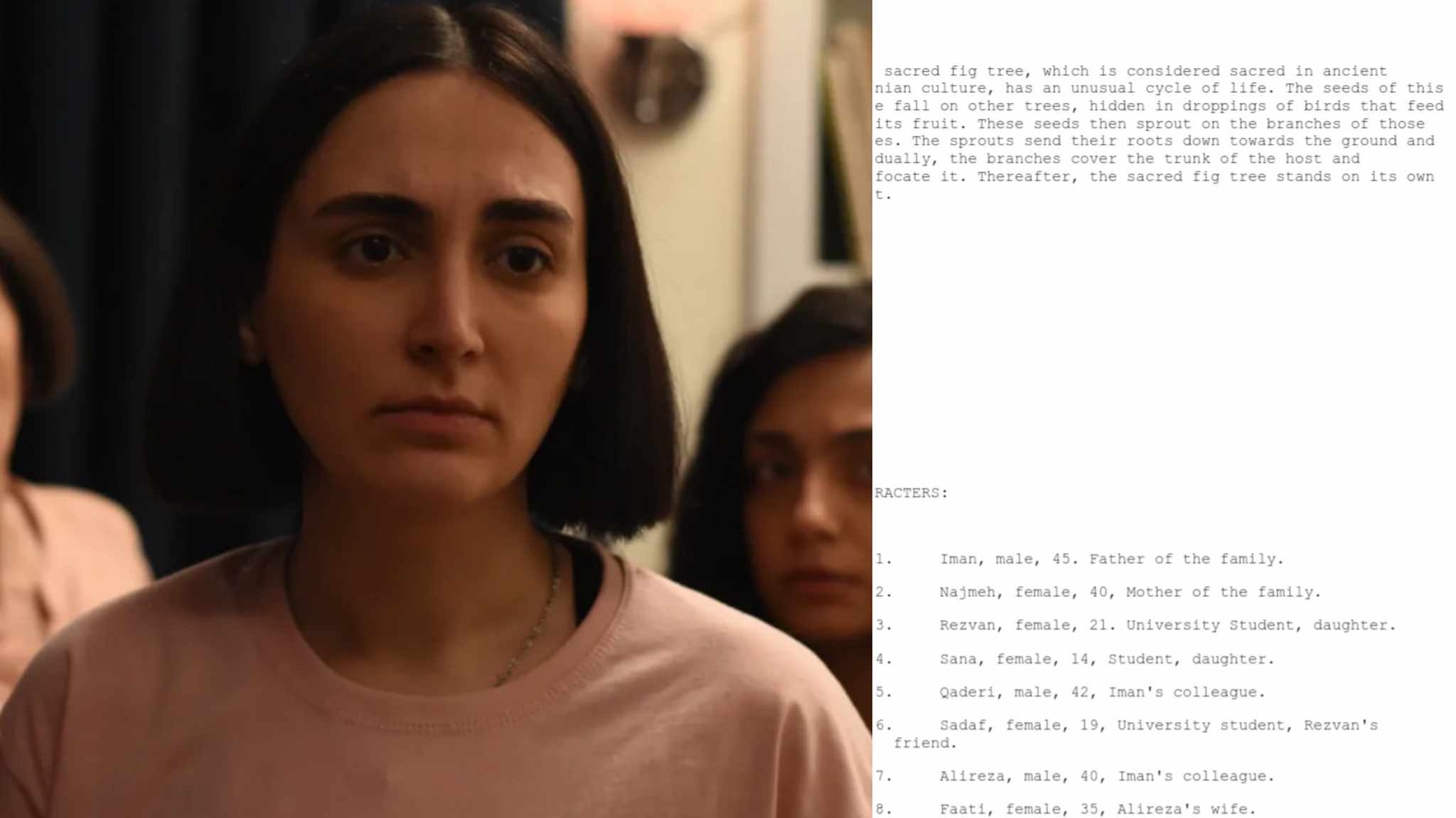 cover immagini e sceneggiatura di Il Seme del Fico Sacro