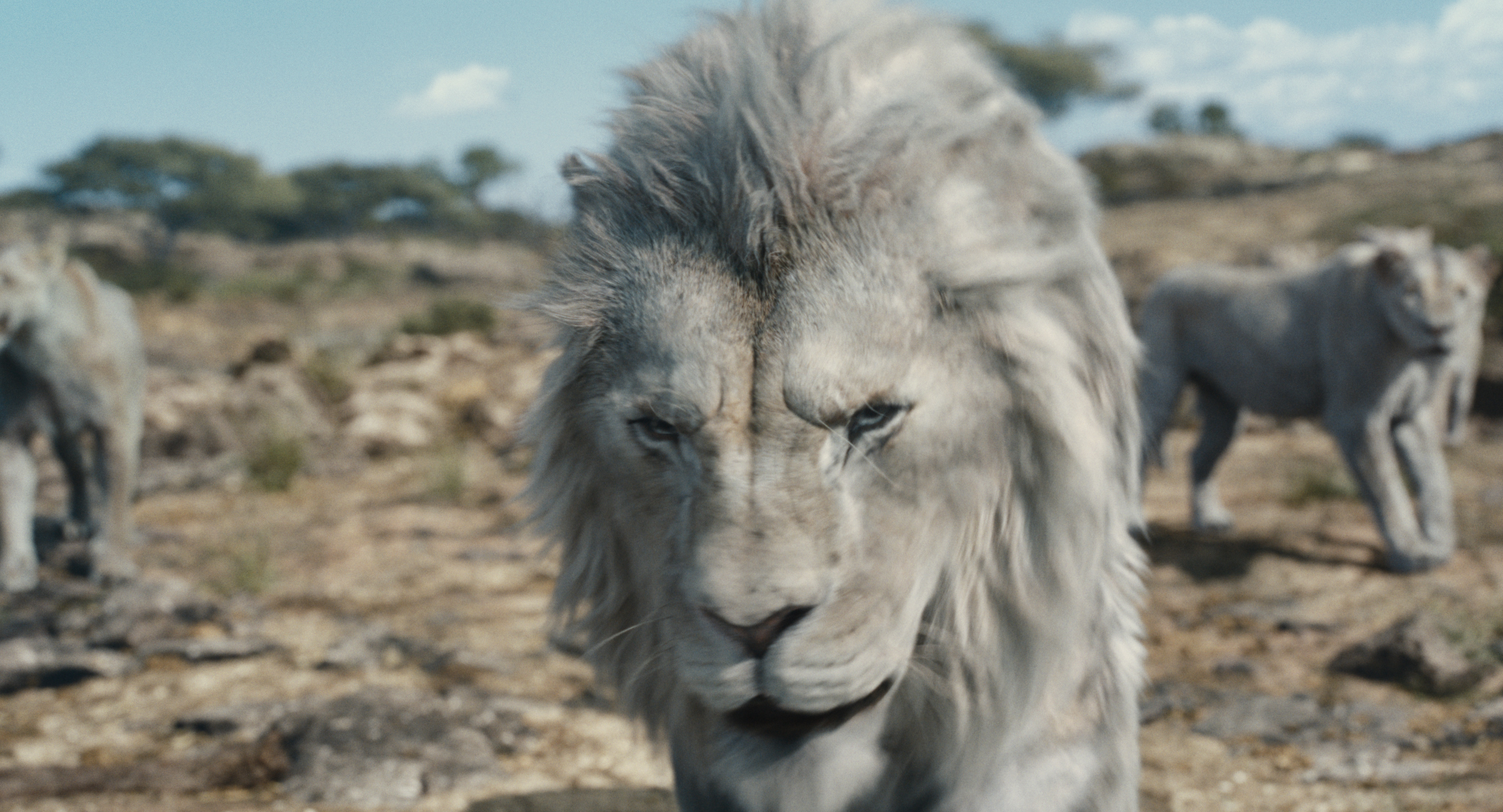Mufasa: Il Re Leone, la nuova clip ufficiale italiana