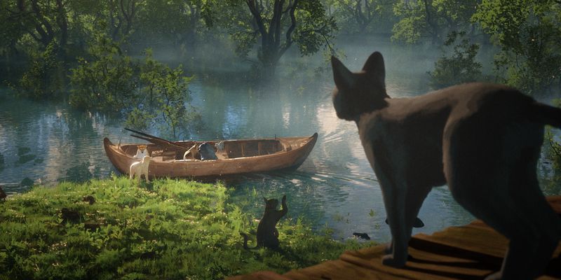 Oscar 2025: Flow – Un mondo da salvare candidato come Miglior film d’animazione e Miglior film internazionale