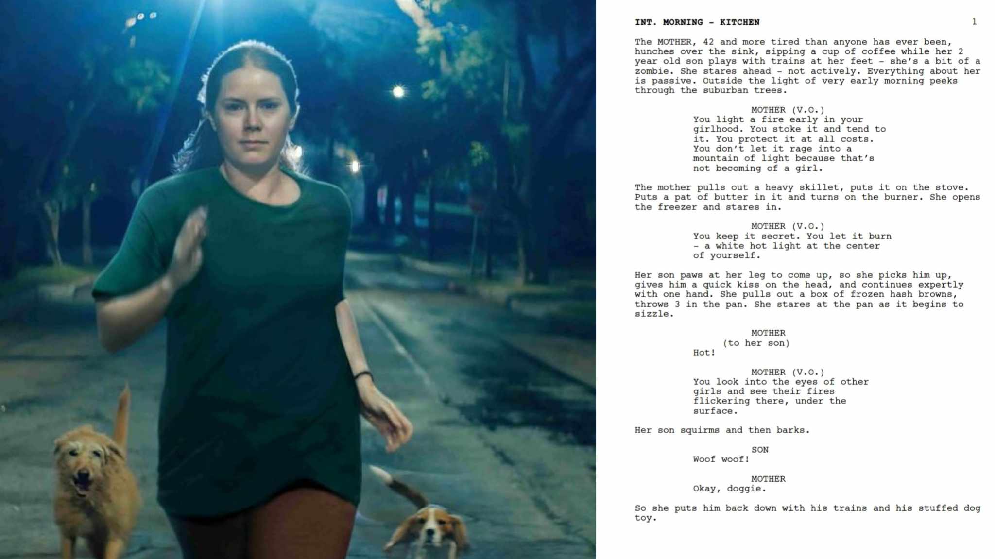 Nightbitch: la sceneggiatura del film di Marielle Heller con protagonista Amy Adams