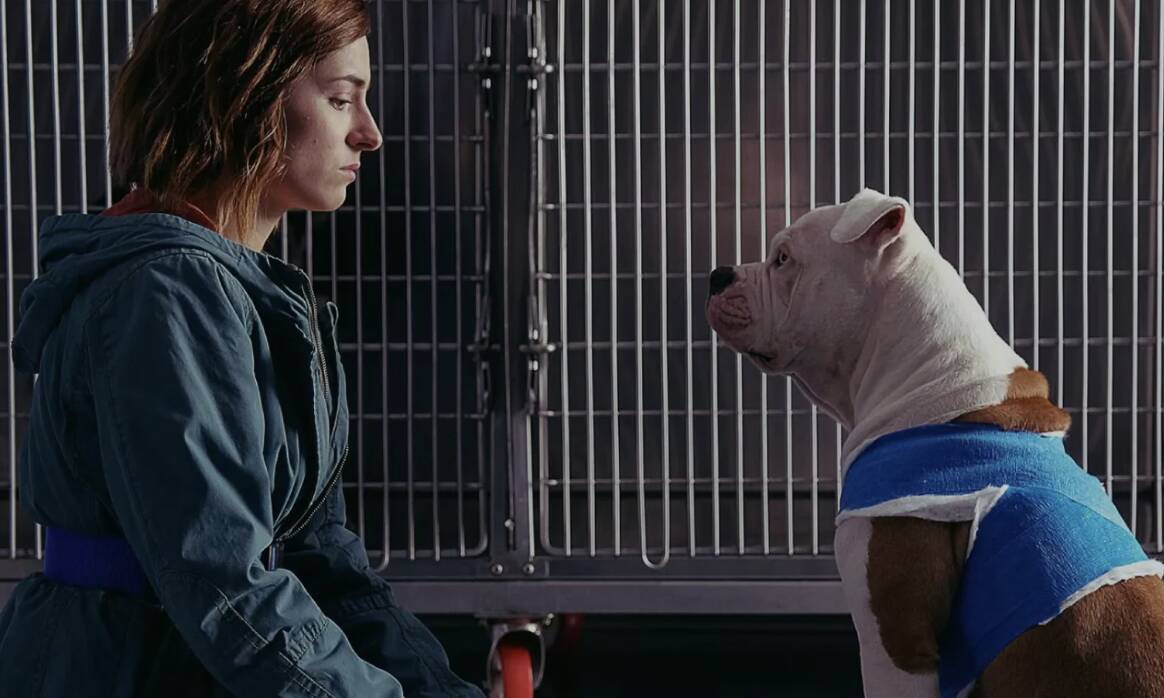 Blanca 3: al via le riprese della nuova stagione con Maria Chiara Giannetta e Giuseppe Zeno