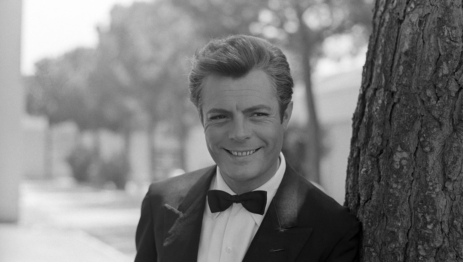 Marcello Mastroianni