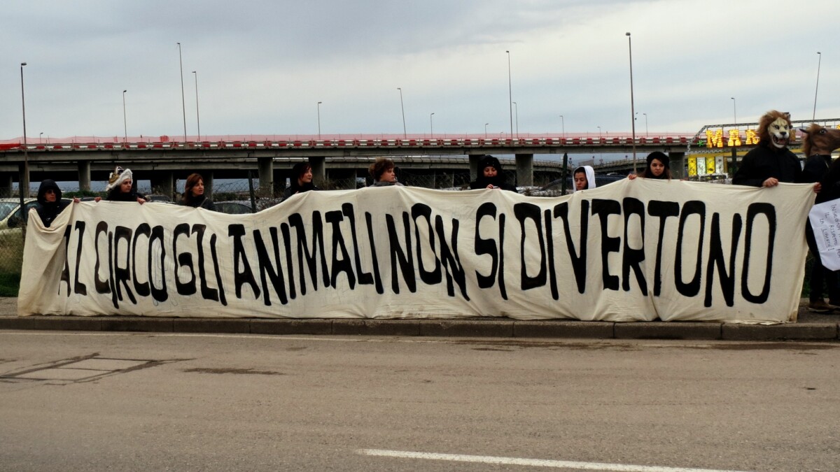 L’Ultimo Spettacolo: ad aprile al cinema il primo film prodotto da LAV