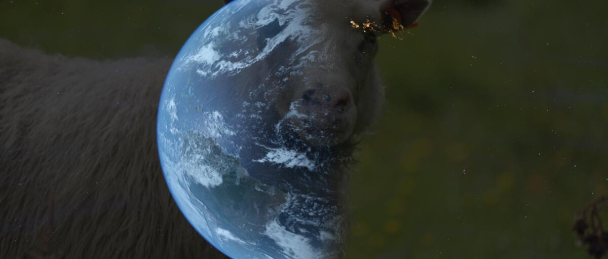 immagine doc non sarò mai vegano