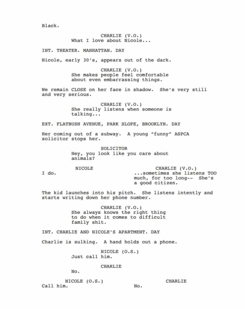 sceneggiatura storia di un matrimonio