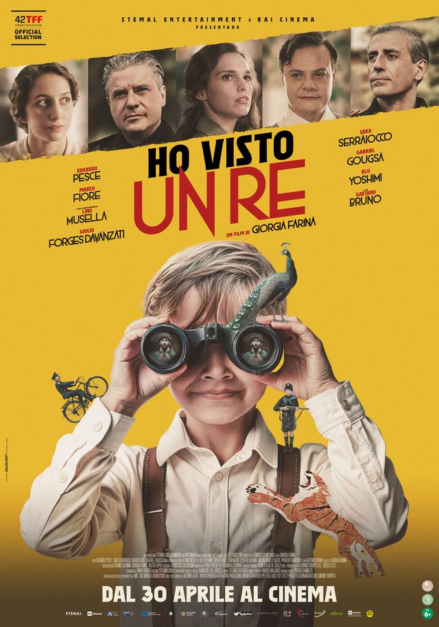 poster film ho visto un re