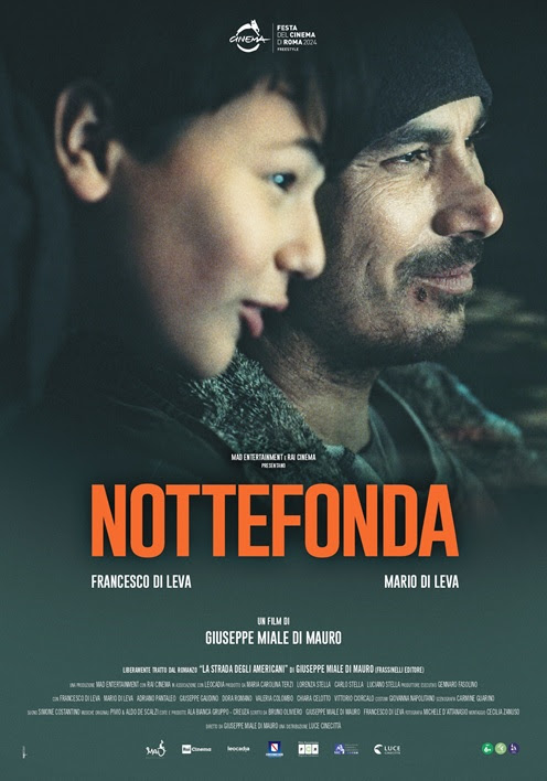 poster film nonostante