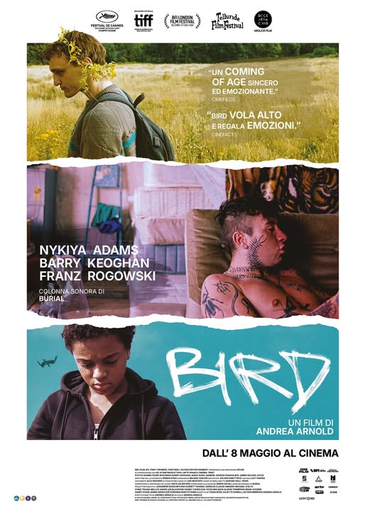 poter bird