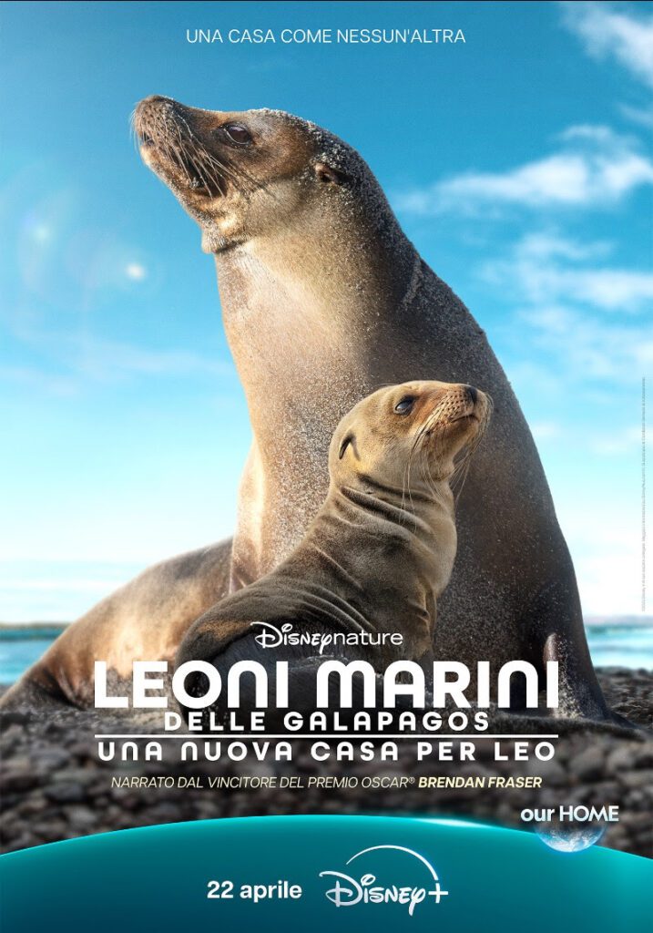 poster Leoni marini delle Galapagos – Una nuova casa per Leo
