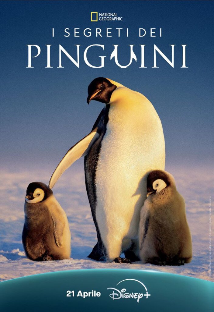poster i segreti dei pinguini