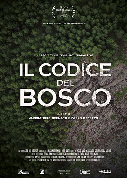 IL CODICE DEL BOSCO
