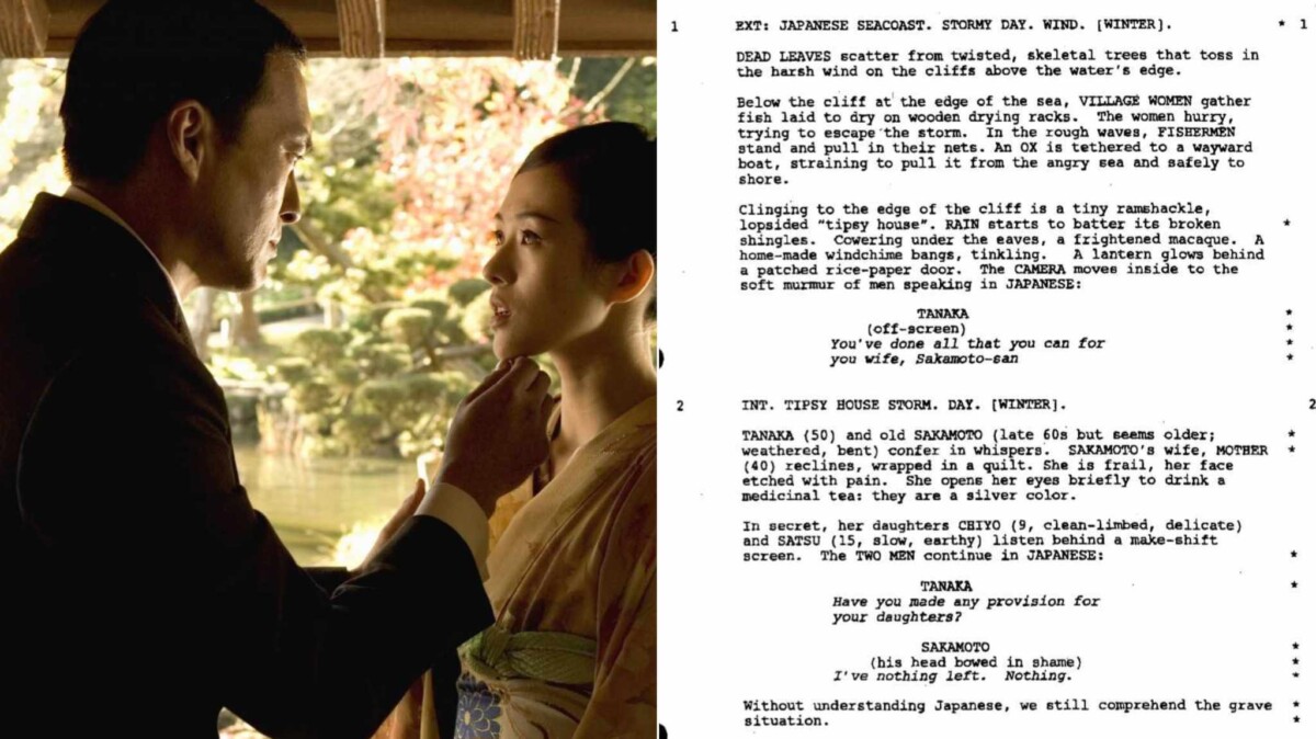 Memorie di una Geisha: la sceneggiatura di un viaggio tra bellezza e malinconia
