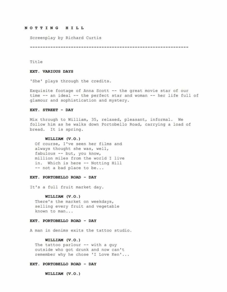 sceneggiatura notthing hill