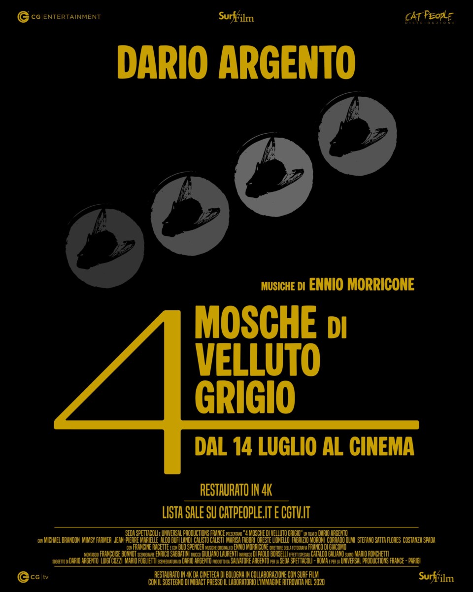 poster 4 mosche di velluto grigio