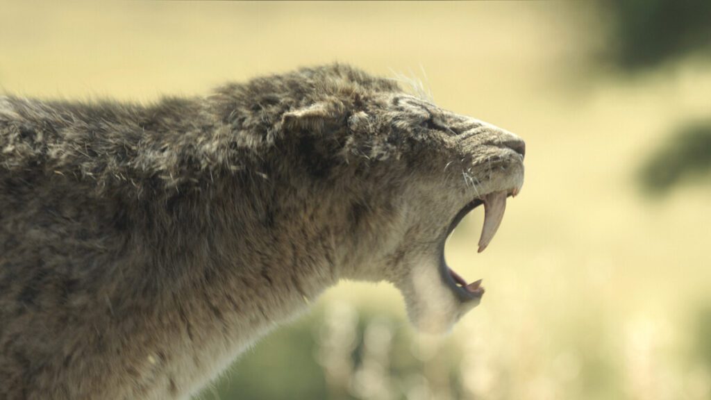 Il Pianeta Preistorico: Era glaciale