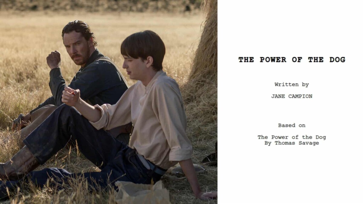 Il Potere del Cane, la sceneggiatura della complessa opera di Jane Campion