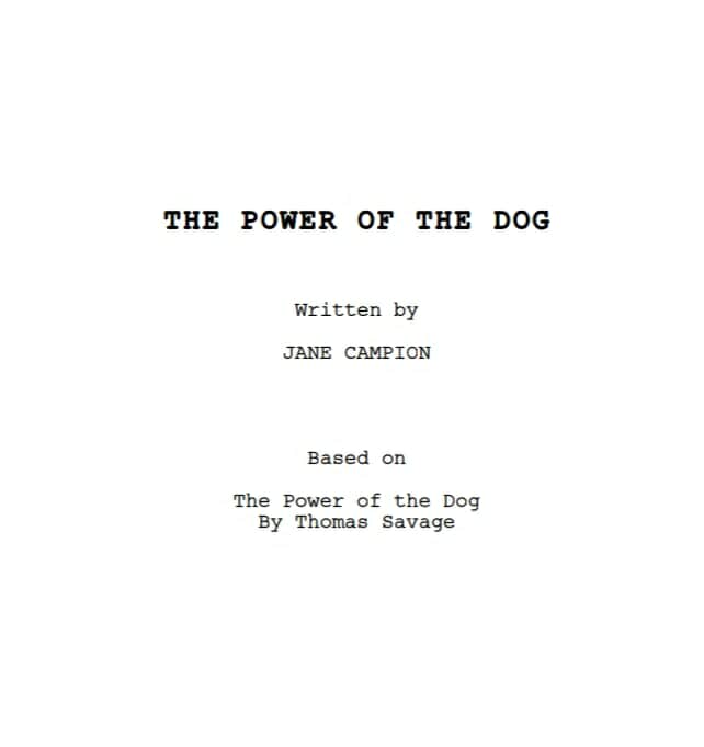 sceneggiatura il potere del cane