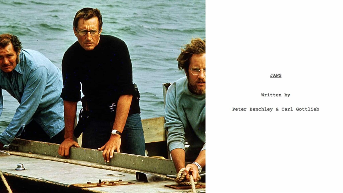 immagine film e sceneggiatura lo squalo