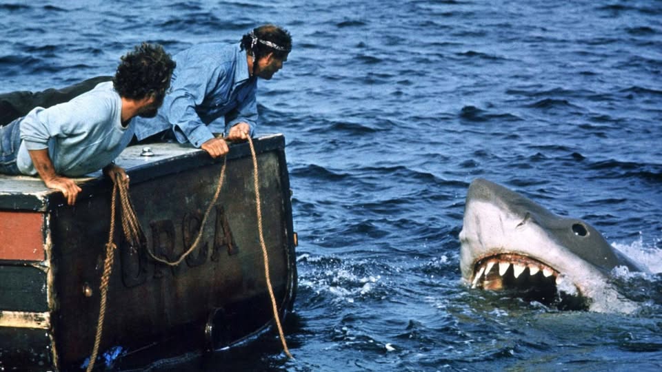 Lo Squalo torna al cinema dall’1 al 3 settembre