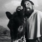 immagine film fatto per bene