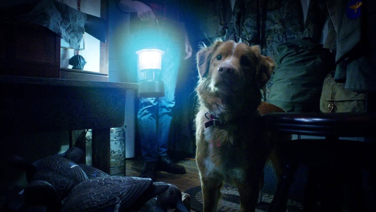 Alice nella Città 2025: Good Boy di Ben Leonberg è il film d’apertura