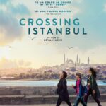 poster film crossing istanbul