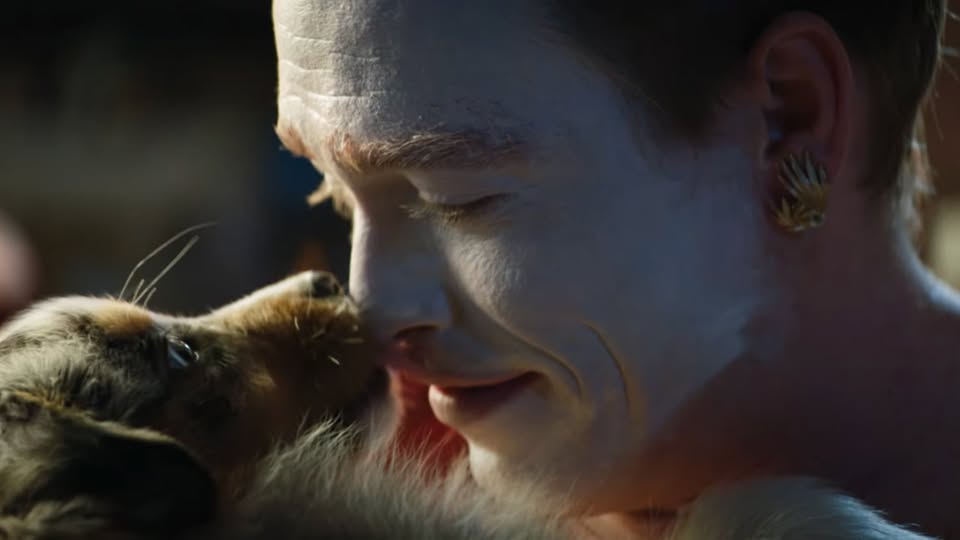 immagine film dogman di luc besson