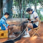 immagine film il maestro