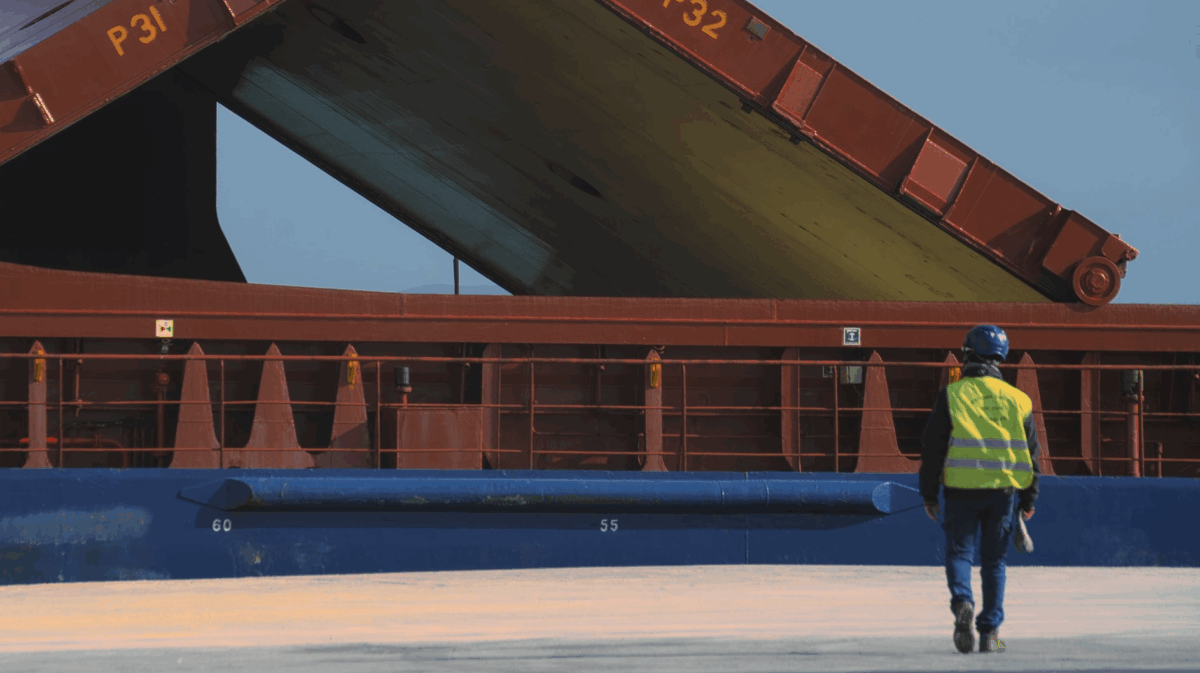 immagine doc articolo 1