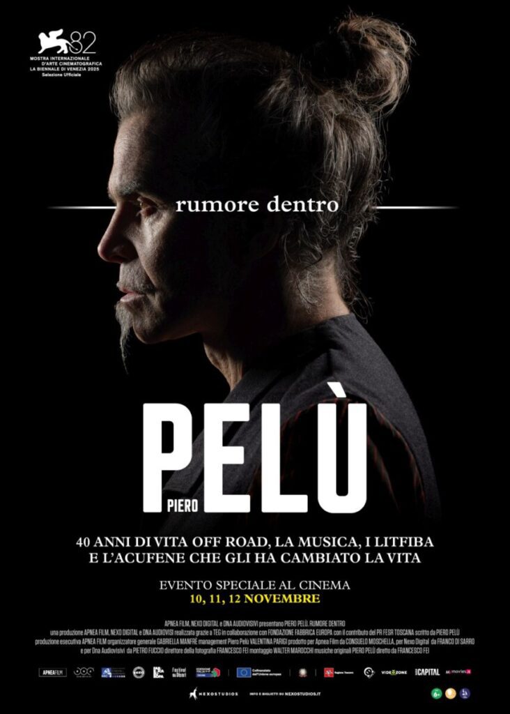 poster piero pelù. rumore dentro