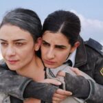 immagine serie fireflies