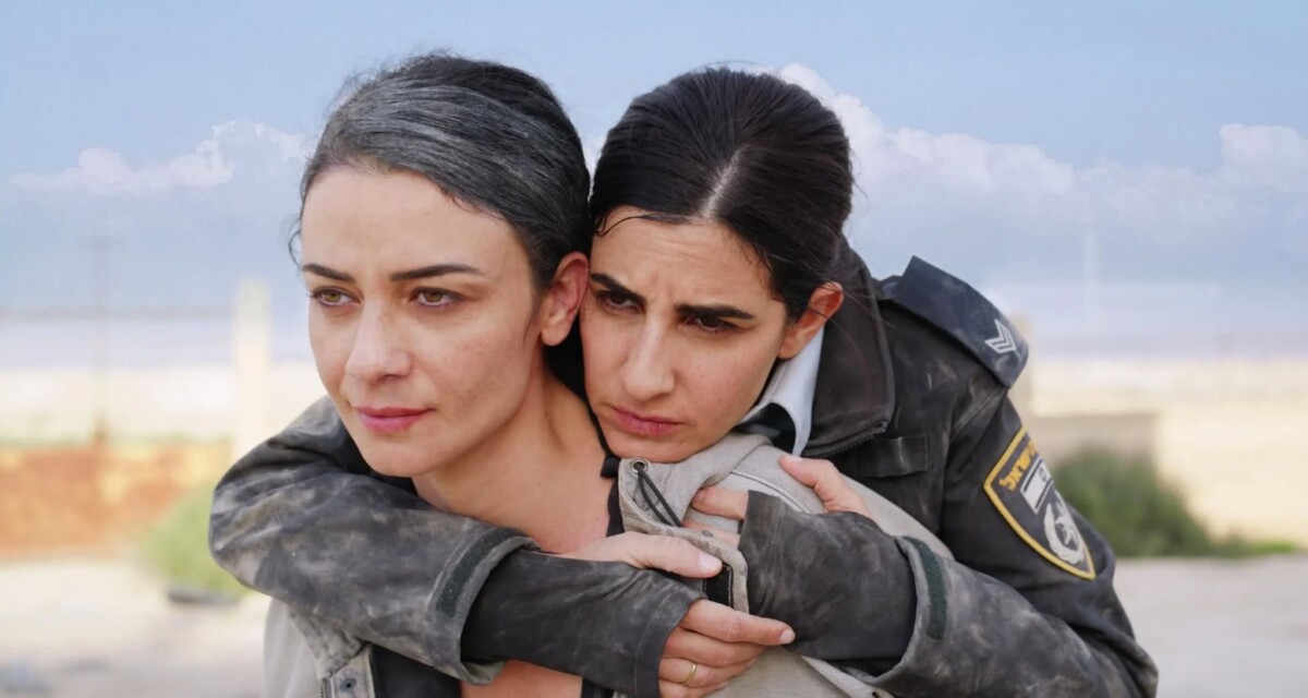 immagine serie fireflies