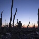 immagine 2000 Metri ad Andriivka