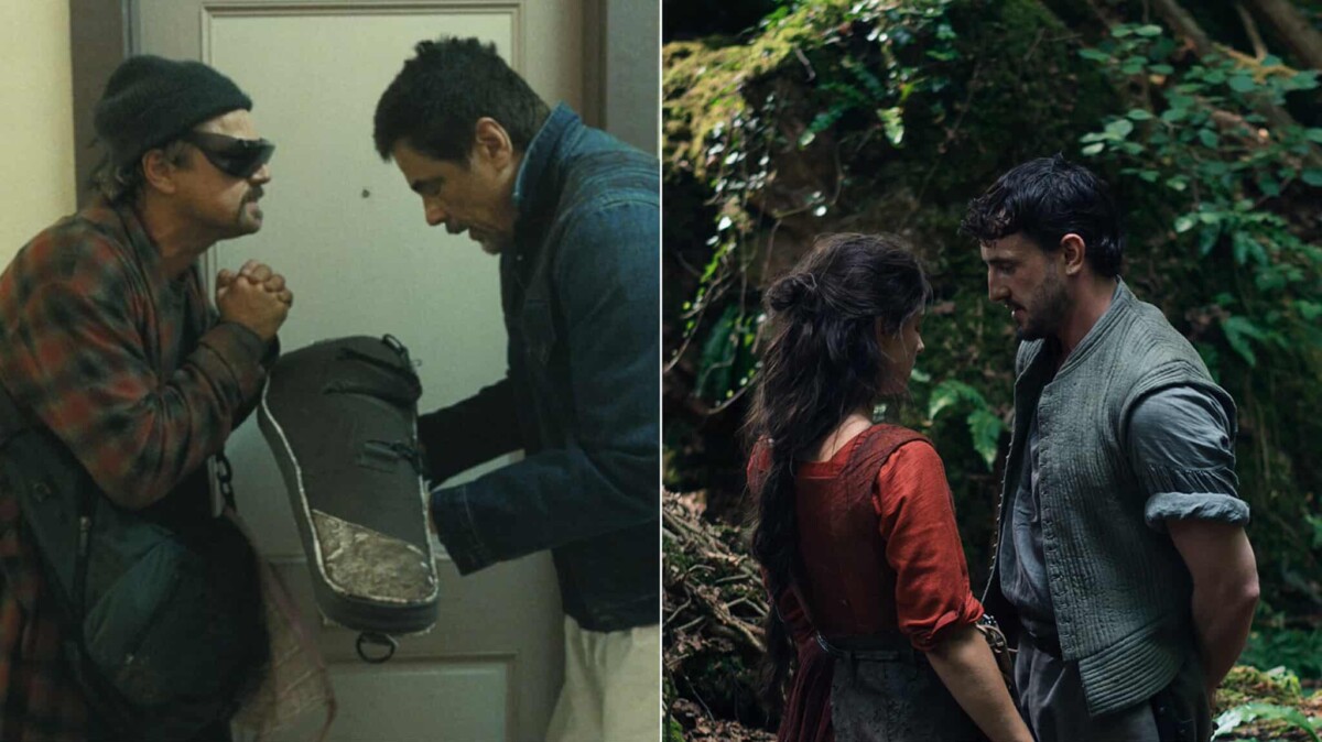 hamnet una battaglia l'altra