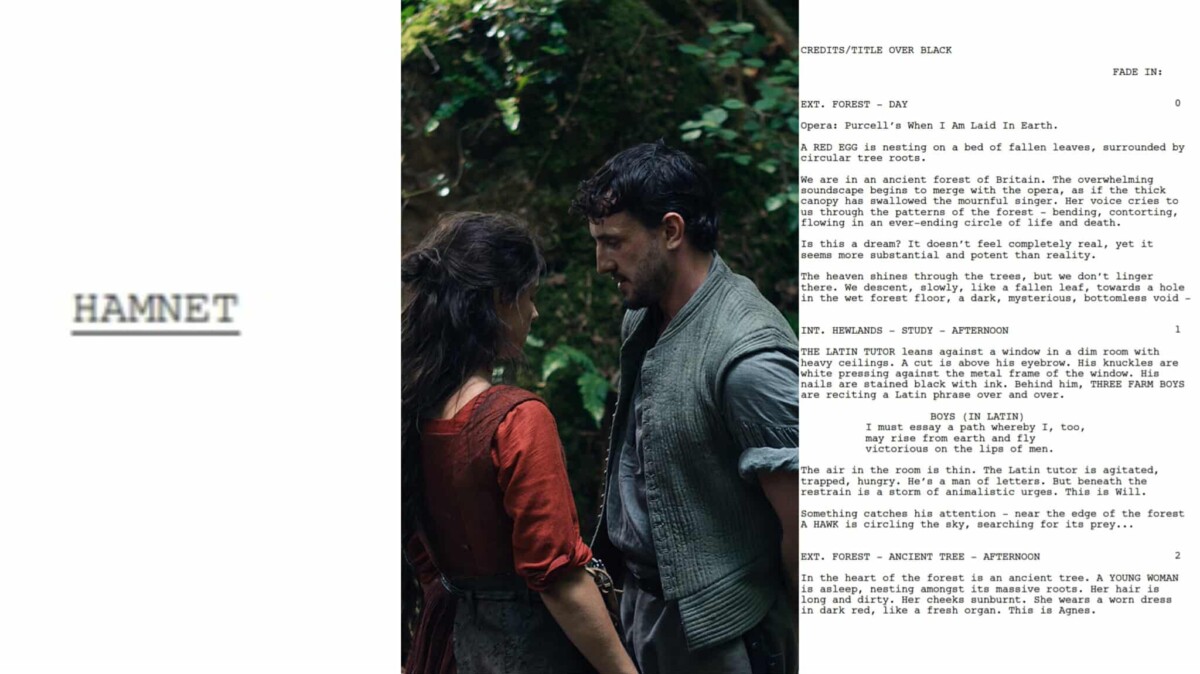 hamnet chloe zhao sceneggiatura
