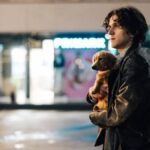 pillion harry melling