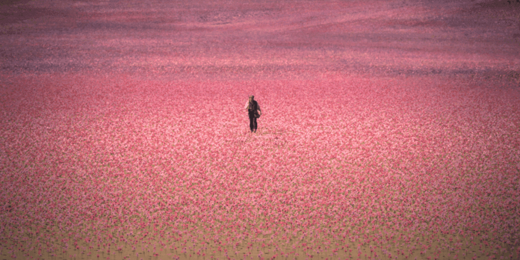 immagine serie la casa degli spiriti