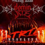 STRAY KIDS: THE DOMINATE EXPERIENCE poster