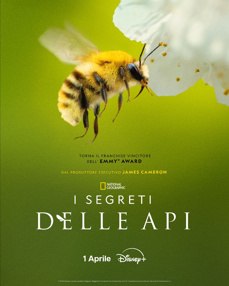 key art i segreti delle api