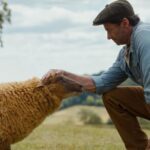 immagine film pecore sotto copertura