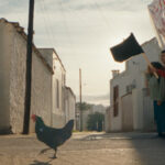 immagine film HEN – Storia di una gallina