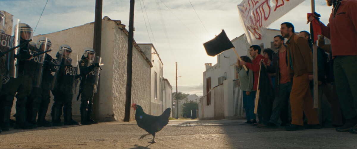 HEN – Storia di una gallina: il nuovo film di György Pálfi arriva nelle sale il 28 maggio