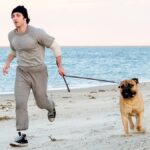 i play rocky immagine