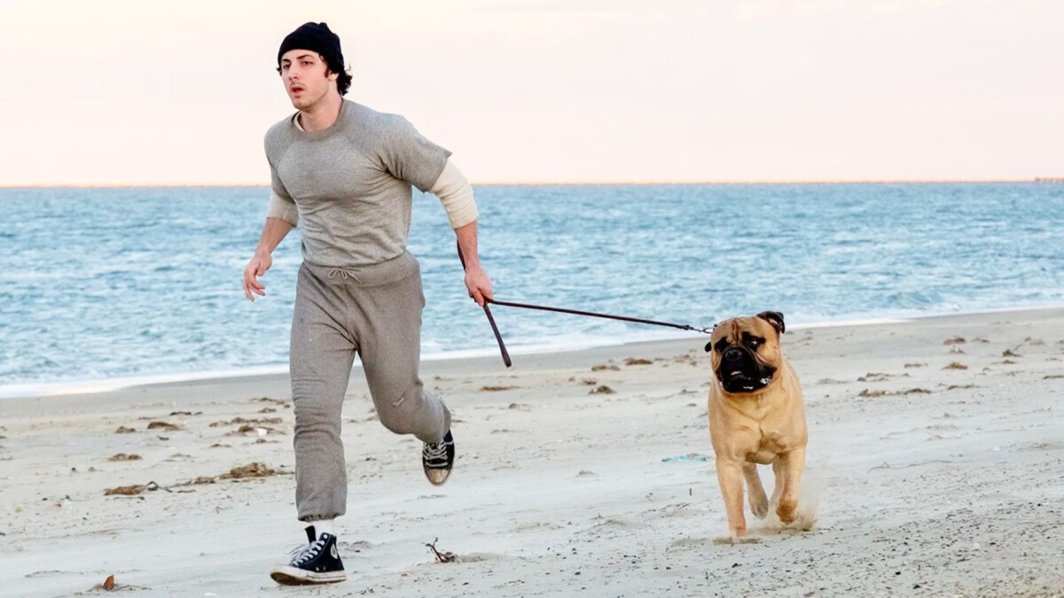 i play rocky immagine