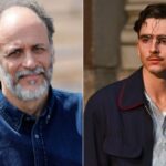 timothée chalamet luca guadagnino